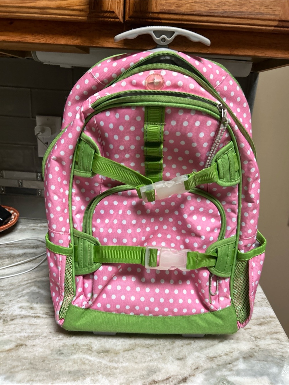 Pottery barn kids rolling backpack travel bag pink telescope handle